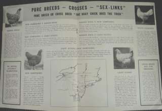 LOT 1946 vintage POULTRY BRAY CHICKENS CATALOG +order  
