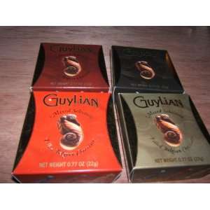 Guylian Belgium Gourmet Chocolate ~ 4 / .77 Boxes:  Grocery 
