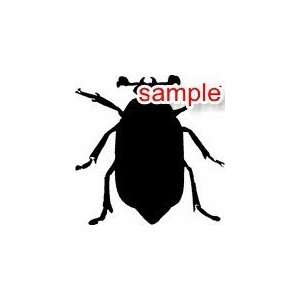  NATURE AND INSECTS BEETLE DECAL 10 WHITE VINYL DECAL 
