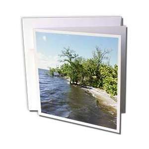  Florene Wqter Landscape   Florida Mangrove Shoreline 