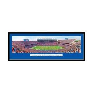  Florida Gators Ben Hill Griffin Stadium Panoramic Poster 