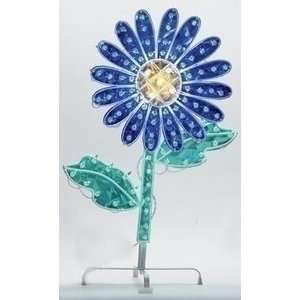  100L 20Blue Daisy with Yellow Center: Patio, Lawn 