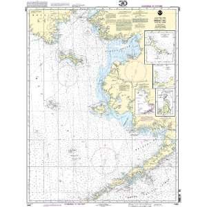 16006  Bering Sea   eastern part, St. Matthew Island, Bering Sea, Cape 