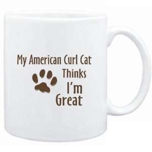   White  MY American Curl THINKS IM GREAT  Cats: Sports & Outdoors