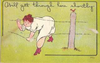 Postcard 127927 Comic Pun Woman Barbwire Fence  