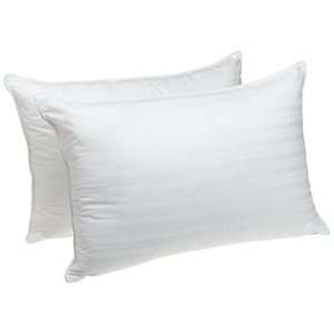  Down Alternative Standard Pillows, Set of Two