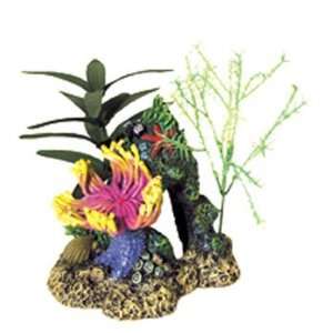  Blue Ribbon Resin Ornament Indo Anemone Cave With Plants 