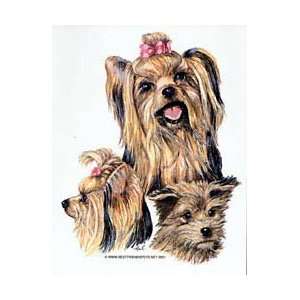  Yorkshire Terrier Shirts