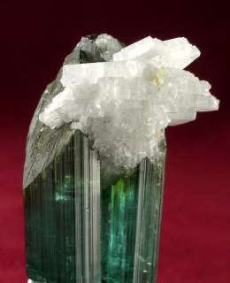 SUPERB BICOLOR TOURMALINE XL w CLEAVELANDITE PEDERNEIRA  