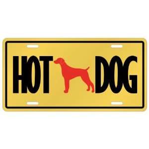   Shorthaired Pointer   Hot Dog  License Plate Dog: Home & Kitchen