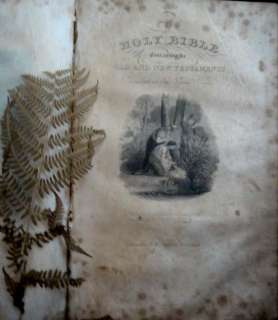 1843 antique POLYGLOTT BIBLE w/BEAUTY PEACEABLE KINGDOM  