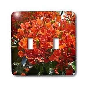  Florene Flowers   Blossoms In Orange   Light Switch Covers 