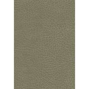  Brisa Soleil Distressed Sagebrush by F Schumacher Fabric 