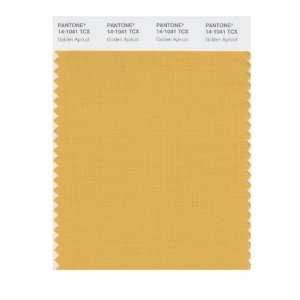  PANTONE SMART 14 1041X Color Swatch Card, Golden Apricot 