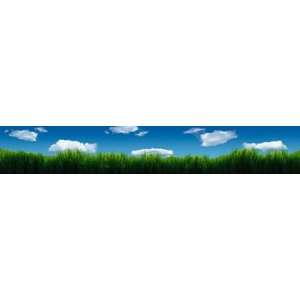  Melba Grass And Clouds Wall Mural