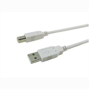  APC CABLES 6FT USB1.1 USBA/USBB FROST WHITE Electronics