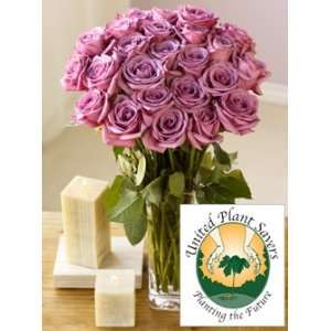 Two Dozen United Plant Savers Rose Bouquet  Grocery 
