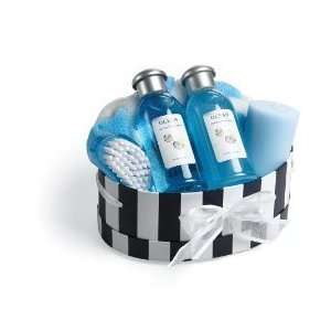  Ocean Aromatherapy Gift Basket   gift set 