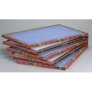  Precisionaire Furnace Air Filter