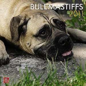  Bullmastiffs 2011 Wall Calendar