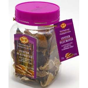 OYSTER (Mushroom), Dried Oyster Mushroom in Plastic Container, 30g 