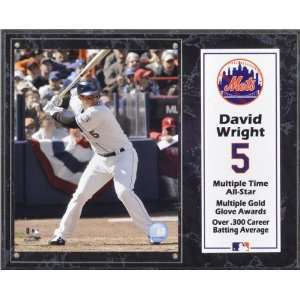  David Wright 12x15 Player Plaque: Sports & Outdoors