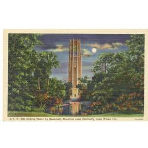 1940s Vintage Postcard The Singing Tower by Moonlight   Mountain Lake 