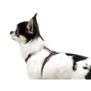   Parisian Pet Polka Dot Nylon Fashion Dog Harness 8 14 Chest: Pet