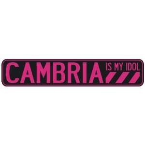   CAMBRIA IS MY IDOL  STREET SIGN