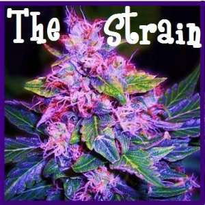  The Strain 1oz: Everything Else