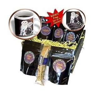 Steve Shachter Art   BARN OWLS   Coffee Gift Baskets   Coffee Gift 