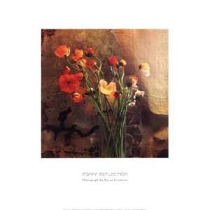  Poppy Reflection Poster by Susan Friedman (16.00 x 20.00 