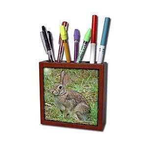   Rabbit Eastern Cottontail   Tile Pen Holders 5 inch tile pen holder