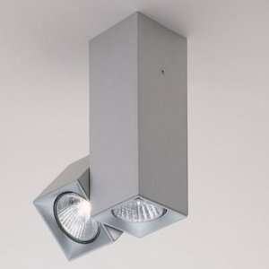  Zaneen Dau Spot 2 Light Ceiling Light: Home Improvement