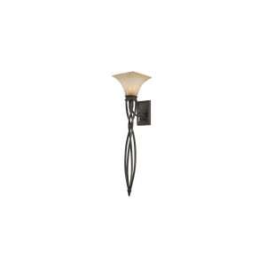   WT1RT Genesis 1 Light Wall Sconce in Roan Timber with Evolution glass