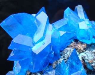 46 Electric Blue CHALCANTHITE Cluster Poland   Amazing Crystals 