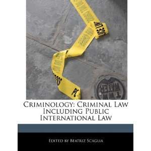   Public International Law (9781116629651): Beatriz Scaglia: Books