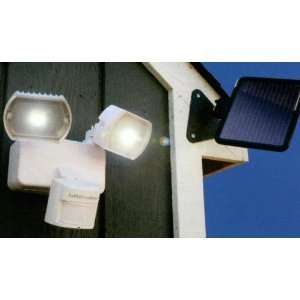    Liftmaster 815LM Motion Activated Solar Light: Home Improvement