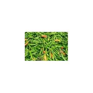  Serrano Hot Pepper Seed   1g Seed Packet: Patio, Lawn 