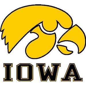    Iowa Hawkeyes Reusable Decal By Stockdale Technologies Automotive