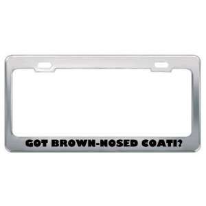 Got Brown Nosed Coati? Animals Pets Metal License Plate Frame Holder 