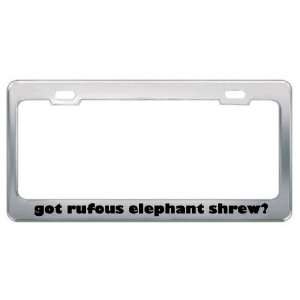 Got Rufous Elephant Shrew? Animals Pets Metal License Plate Frame 