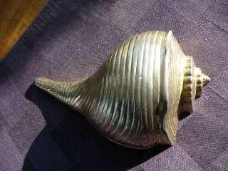   ARNOLD LTD GOLD PAINTED CAST IRON CONCH SHELL TAPE DISPENSER  