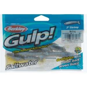  Berkley   Gulp Saltwater 3 Shrimp Molting Sports 