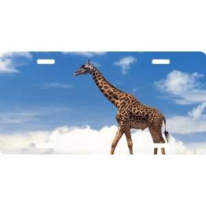  Rikki KnightTM Giraffe on blue sky Cool Novelty License 