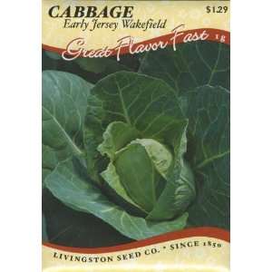  Cabbage   Early Jersey Wakefield Patio, Lawn & Garden