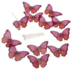 Wilton 120 1173 Dimensional Warm Butterfly Cake Side Picks, 12 Count 