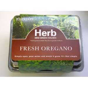  Grow your own Oregano   Herb Mini green house [Kitchen 