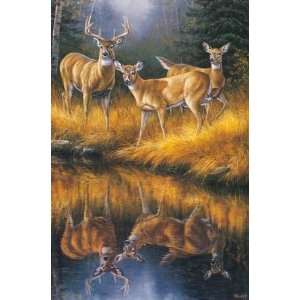  Rosemary Millette   Whitetail Reflections