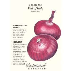  Flat of Italy Intermediate Day Onion Seeds Patio, Lawn 